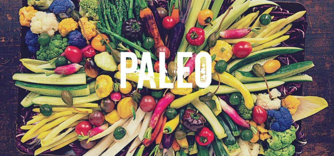 Header Paleo