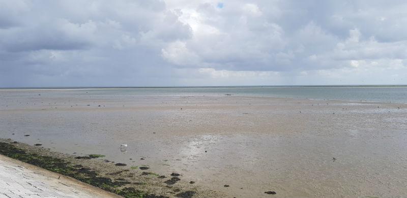 Het Wad 