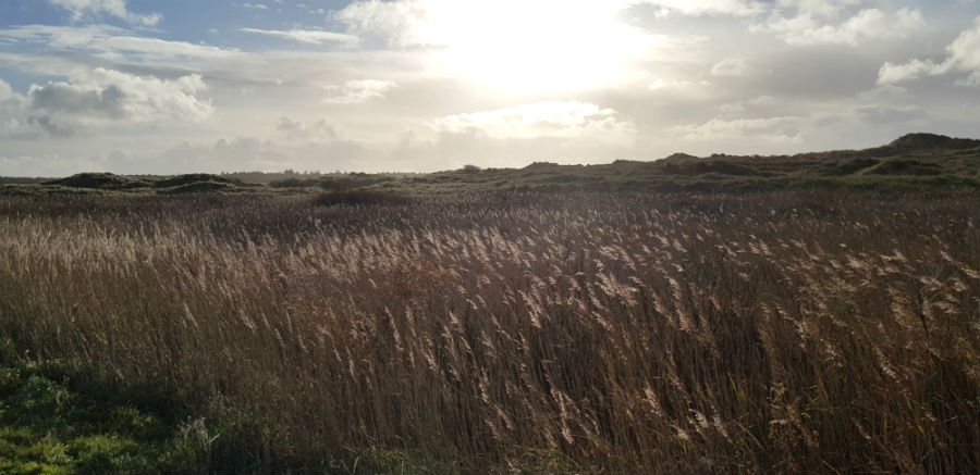 Terschelling Noordzeestrand