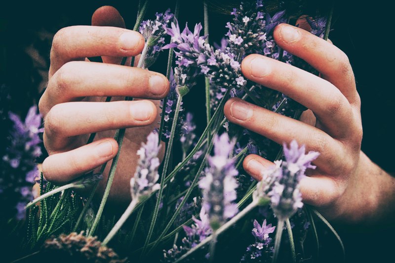Primavera Sleep Therapy