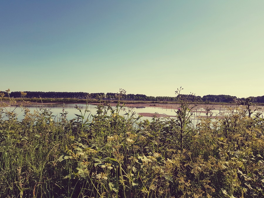Lingewaard Elst Diary