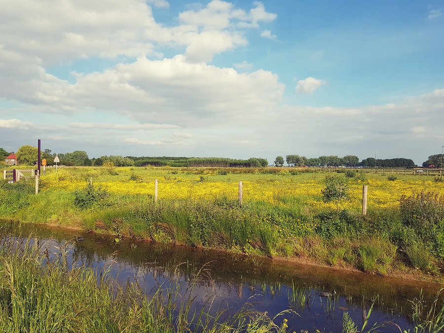 Lingewaard Elst