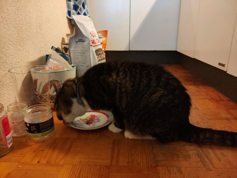 Tygo aan het eten